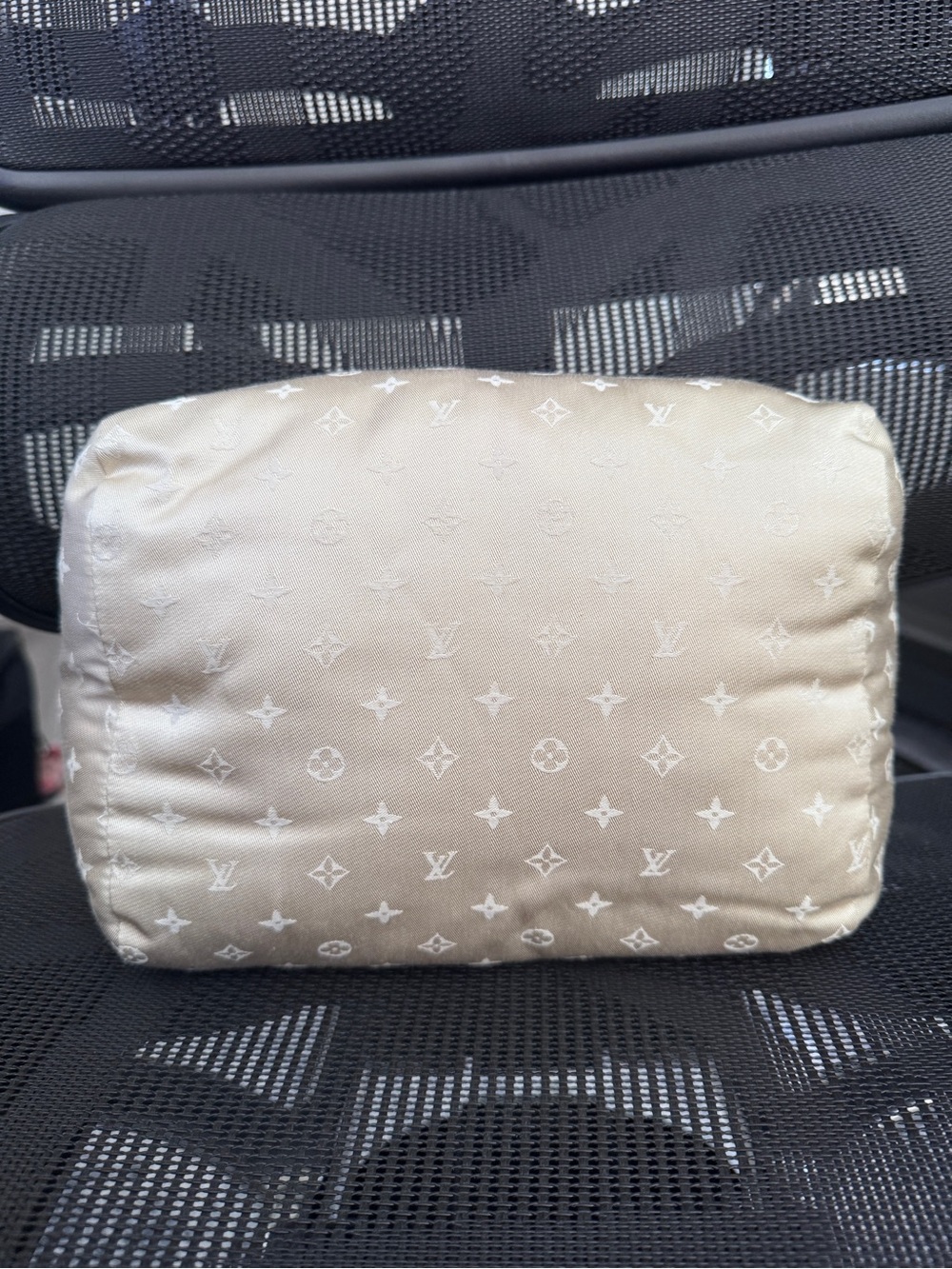 Louis Vuitton Bag Pillow